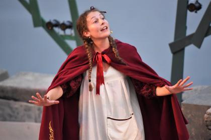 The Wolves of Willoughby Chase