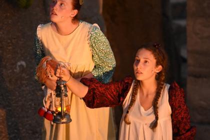 The Wolves of Willoughby Chase