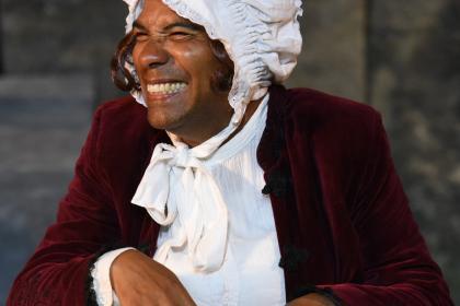 The Wolves of Willoughby Chase