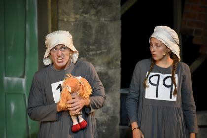 The Wolves of Willoughby Chase