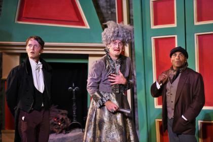 The Wolves of Willoughby Chase