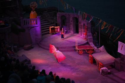 The Firework Maker's Daughter