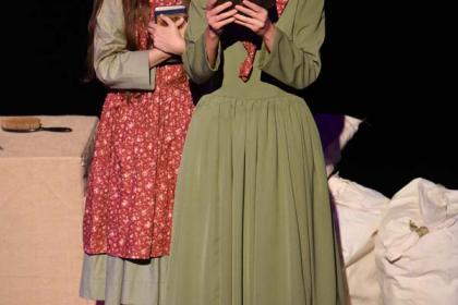 The Mill on the Floss