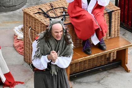 Horrible Histories : Terrible Tudors