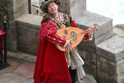 Horrible Histories : Terrible Tudors