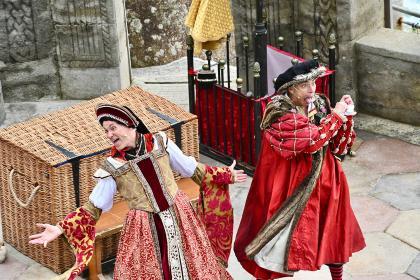 Horrible Histories : Terrible Tudors