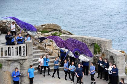 Ocean World - Tuesday Performance