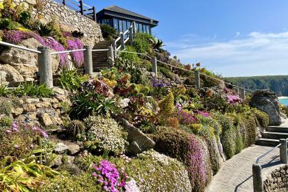 The Minack Garden
