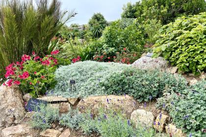 The Minack Garden